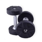 Premium Rubber Dumbbell