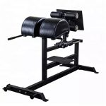 Glute Hamstring Developer